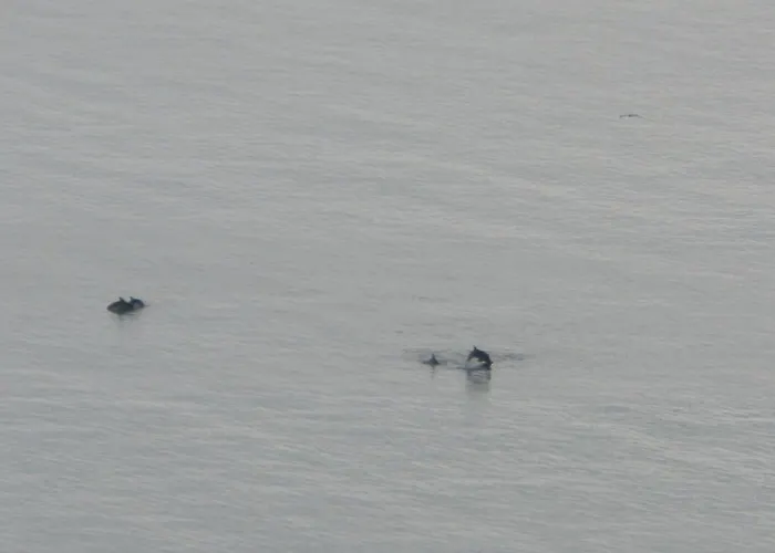 Panoramic Sea View Crown, Pools And Beach, Апартамент *