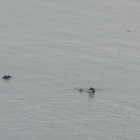 Panoramic Sea View Crown, Pools And Beach, アパート *